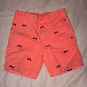 J.Crew - Crewcuts Little boy shorts
